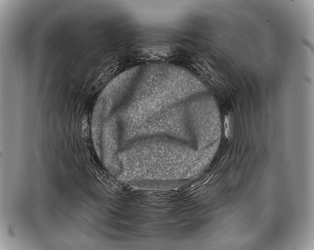 X0000097781395200803281651