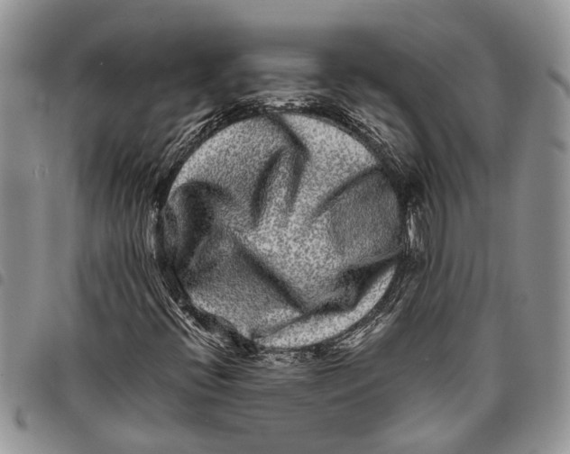 X0000097781396200803281651