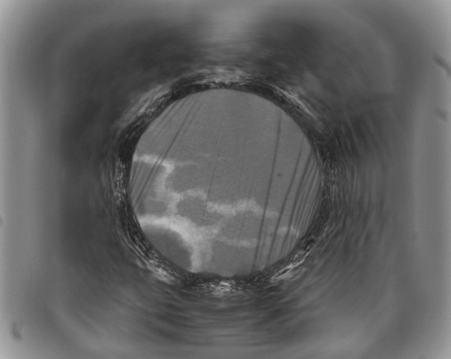 X0000097781399200803281651