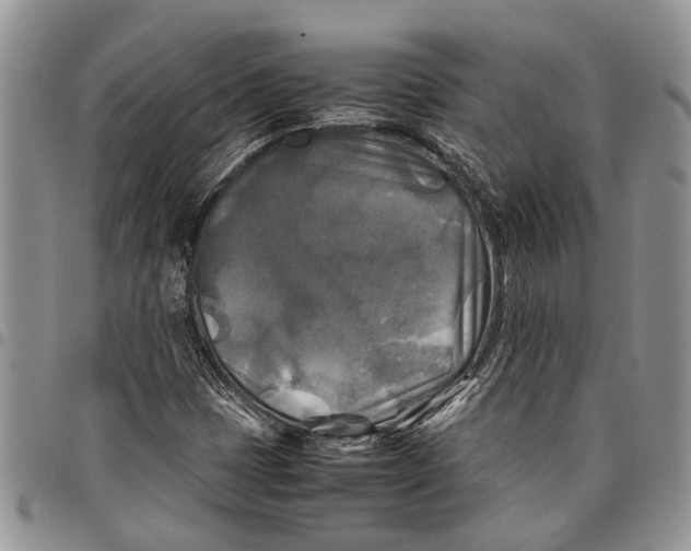 X0000097781401200803281651