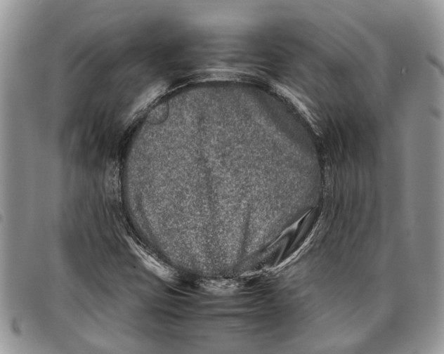 X0000097781403200803281651