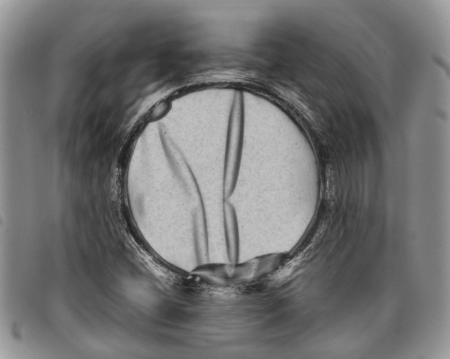 X0000097781404200803281651