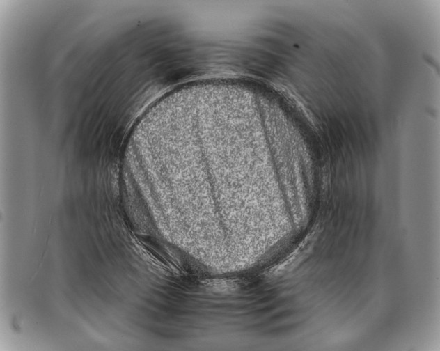 X0000097781409200803281651