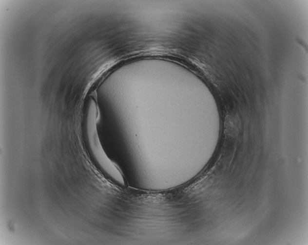 X0000097781410200803281651