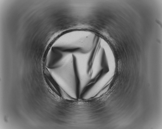 X0000097781412200803281651