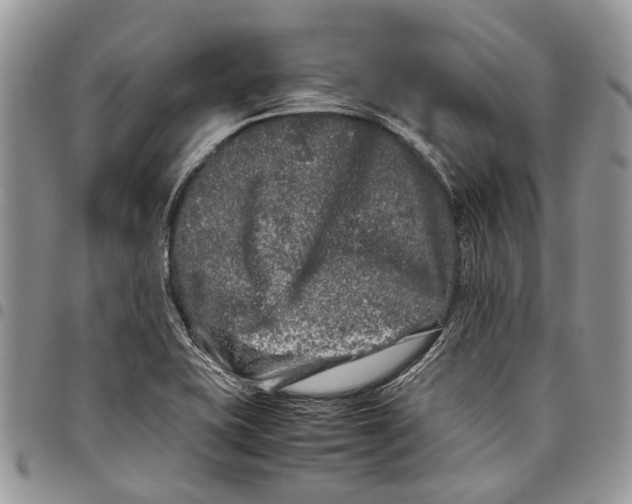 X0000097781415200803281651