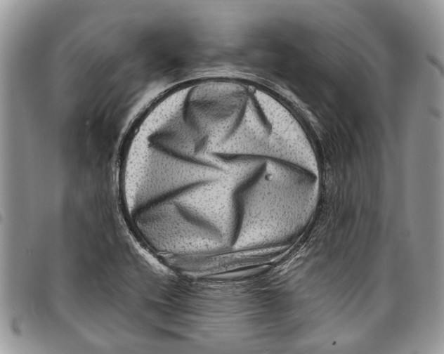 X0000097781416200803281651