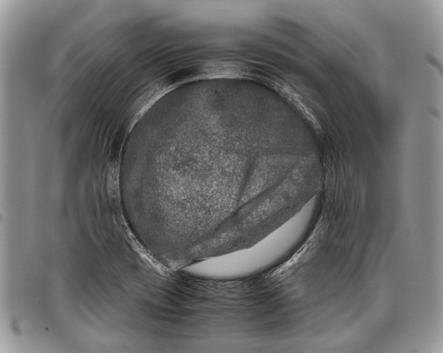 X0000097781417200803281651