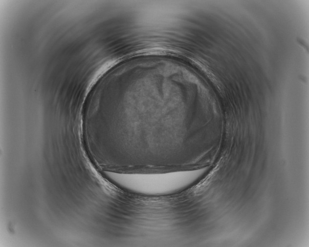 X0000097781418200803281651