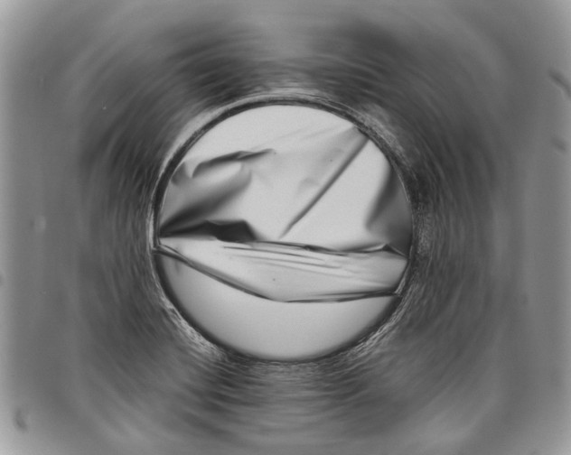 X0000097781420200803281651