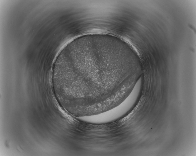 X0000097781421200803281651