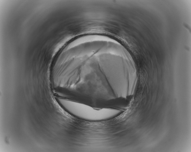 X0000097781422200803281651