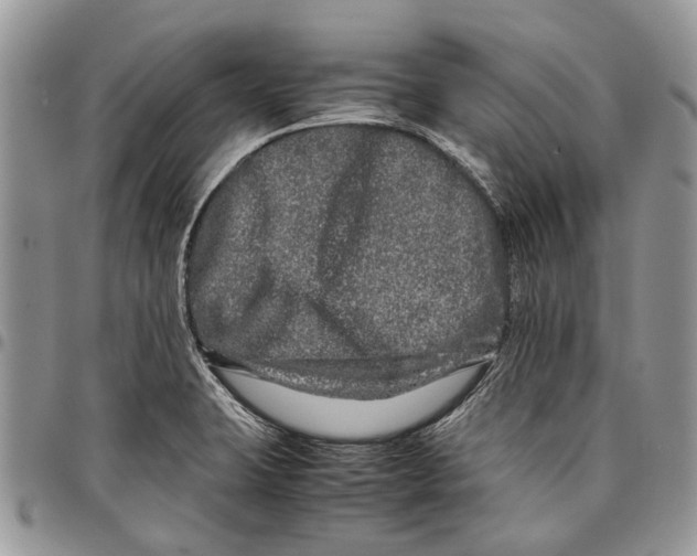 X0000097781423200803281652