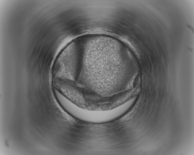 X0000097781424200803281652