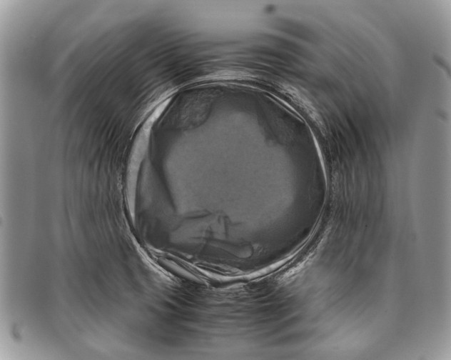 X0000097781425200803281652