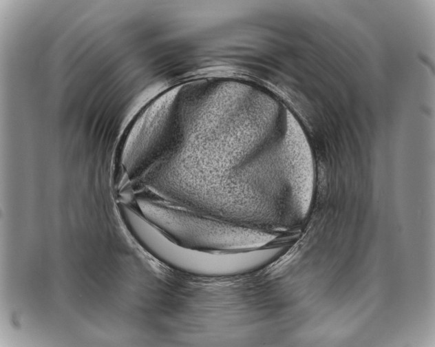 X0000097781426200803281652