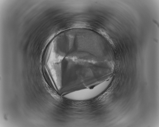 X0000097781427200803281652