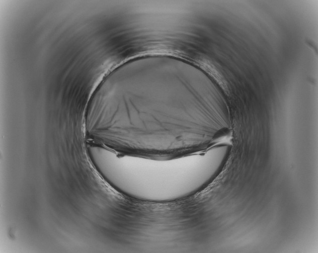 X0000097781428200803281652