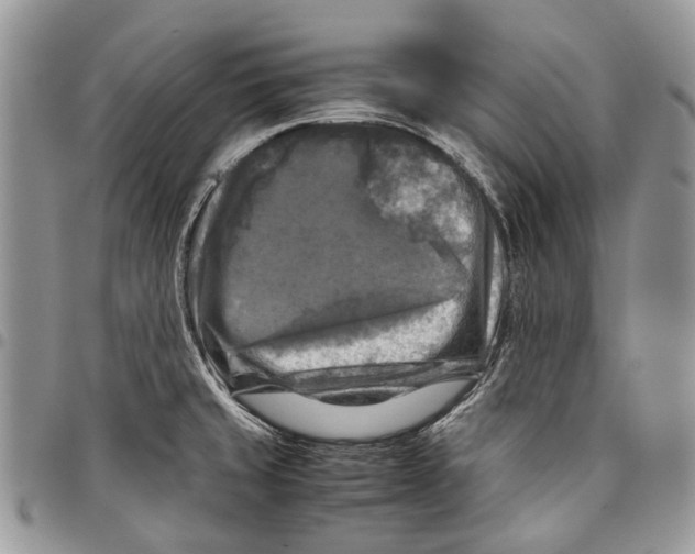 X0000097781429200803281652