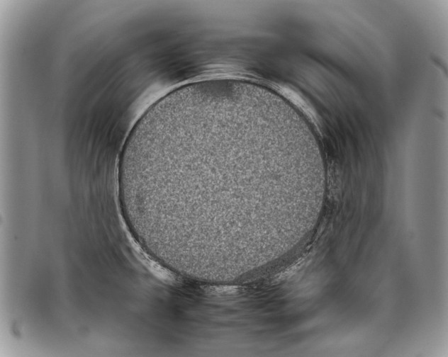 X0000097781431200803281652