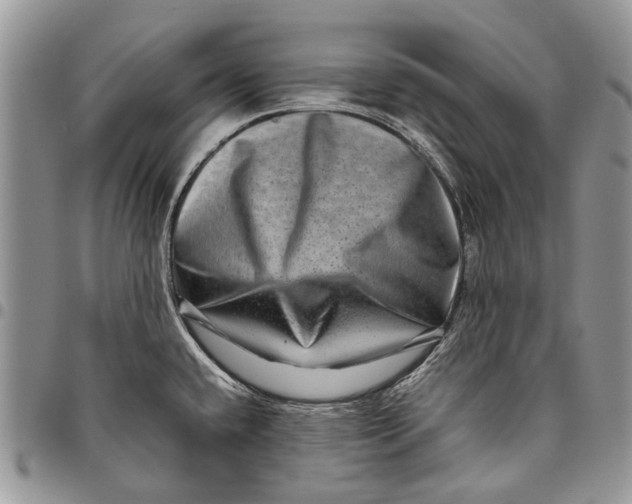 X0000097781432200803281652