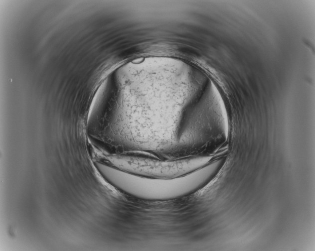 X0000097781433200803281652