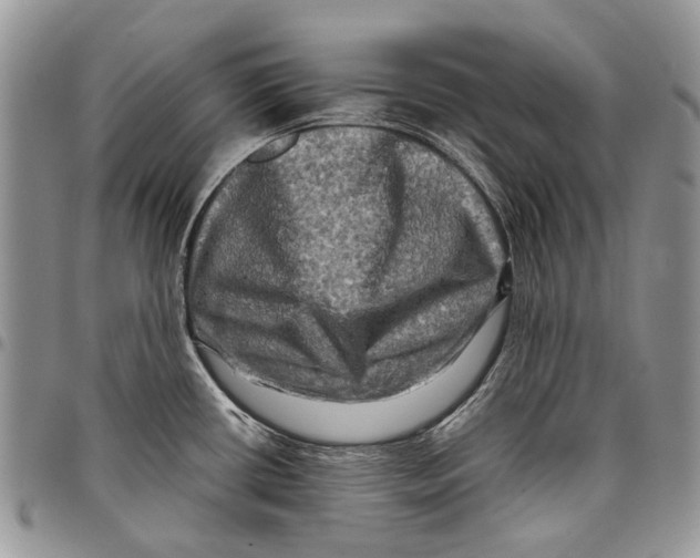 X0000097781434200803281652