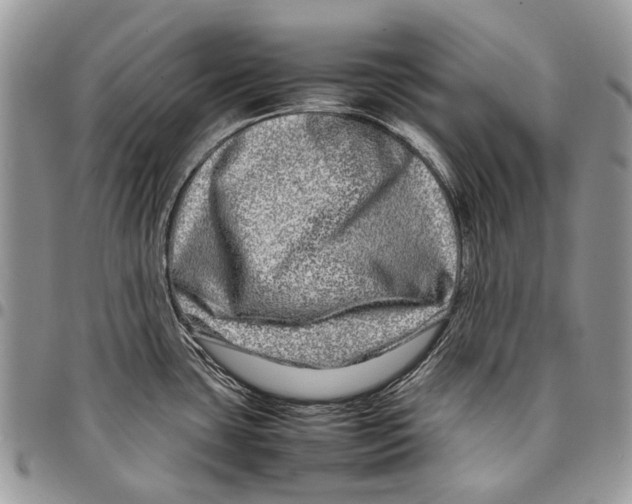 X0000097781435200803281652