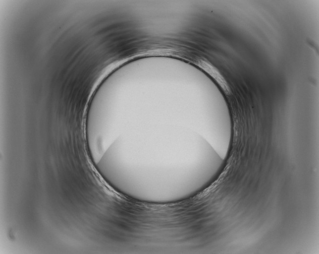 X0000097781436200803281652