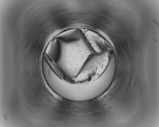 X0000097781437200803281652