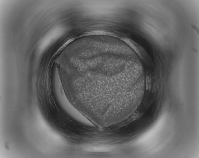 X0000097781438200803281652