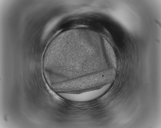 X0000097781439200803281652