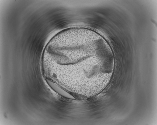 X0000097781440200803281652