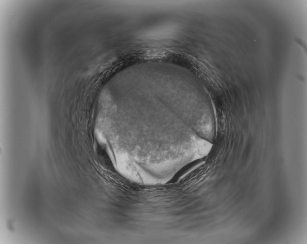 X0000097781441200803281651