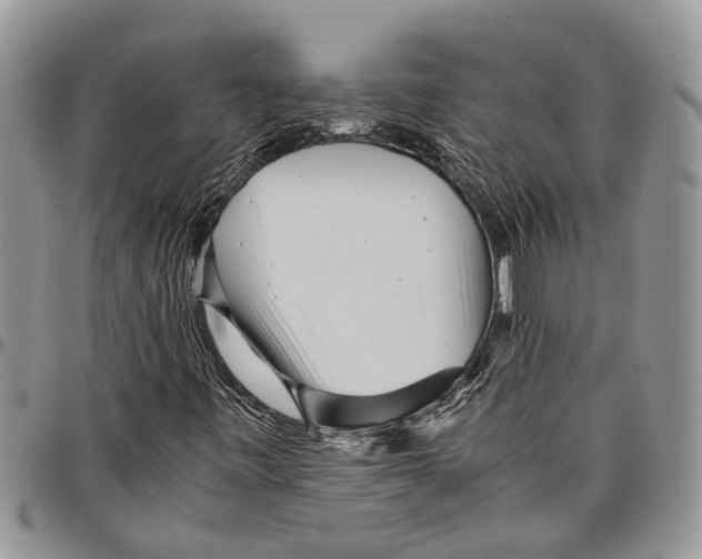 X0000097781443200803281651