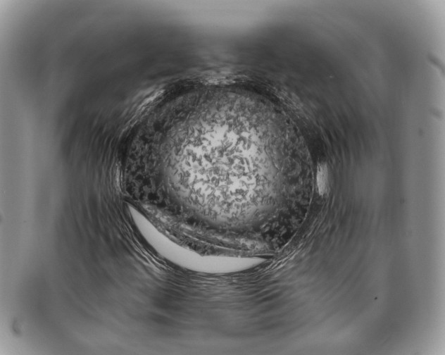 X0000097781444200803281651