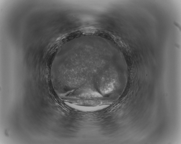 X0000097781445200803281651