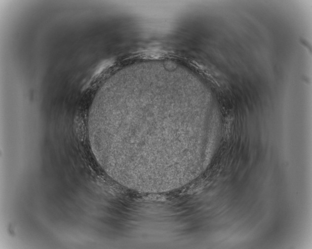 X0000097781446200803281651