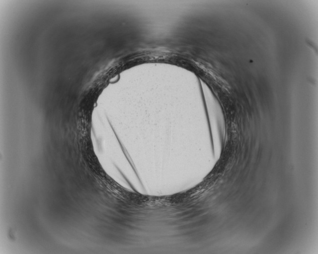 X0000097781447200803281651