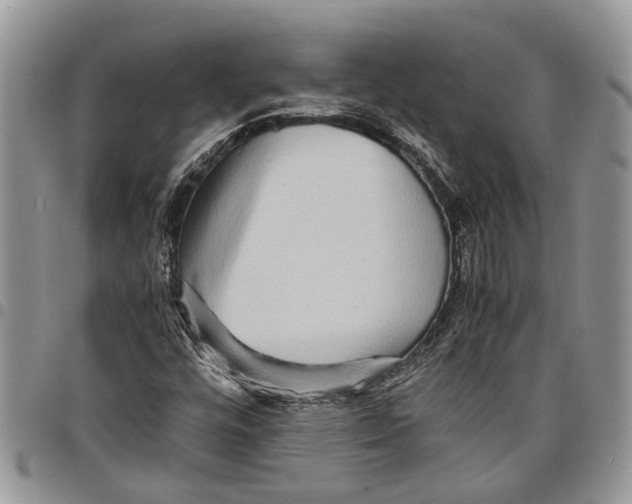 X0000097781448200803281651