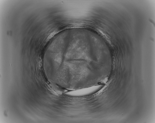 X0000097781449200803281651