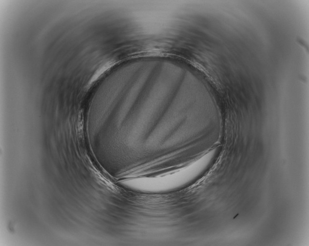 X0000097781450200803281651