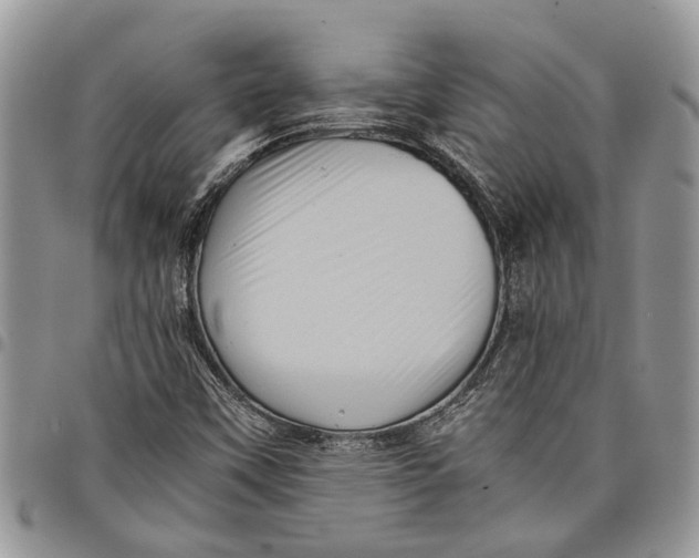 X0000097781451200803281651