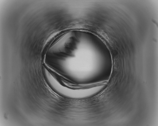 X0000097781452200803281651