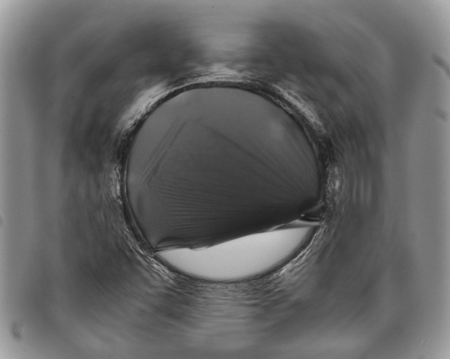 X0000097781455200803281651