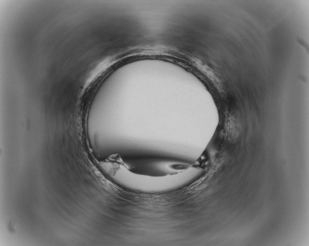 X0000097781456200803281651