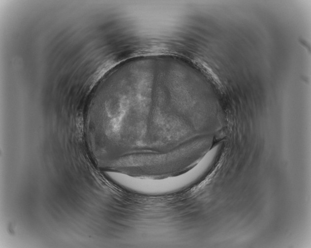 X0000097781457200803281651