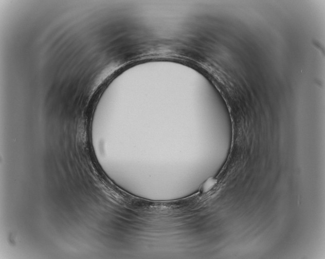 X0000097781458200803281651