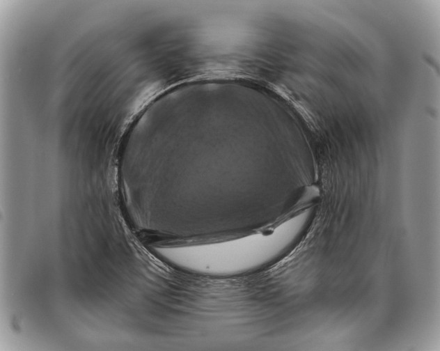 X0000097781459200803281651