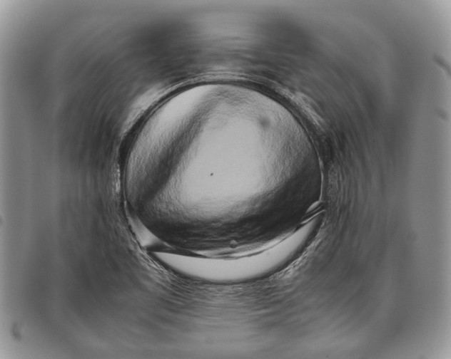 X0000097781461200803281651